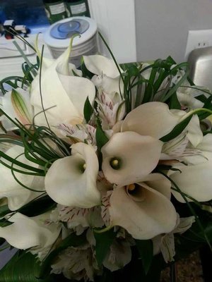 Elegant calla lilies 1387896_671398502878571_848910242_n-1-.jpg