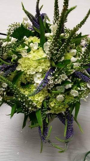 Just Picked! 20160313_154808.jpg