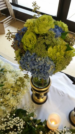 Green and Blue 20170122_104317.jpg