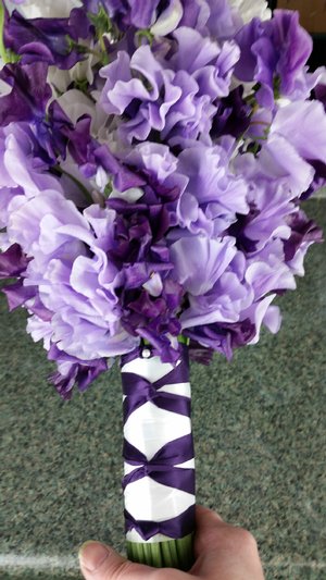 Amazing Sweet Peas! 20170224_102133.jpg