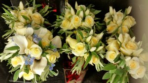 Sweet buttercup! 20170610_085437.jpg