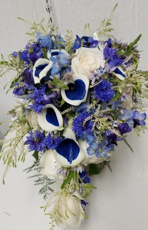 Amy Blue! 20190726_155134.jpg