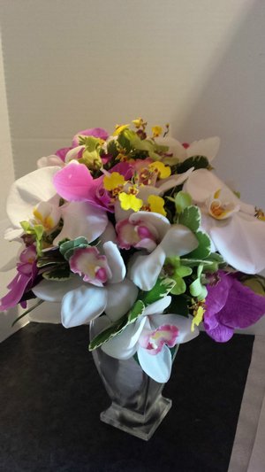 Orchids, Orchids and more Orchids 7-14-2015_download_1677.jpg