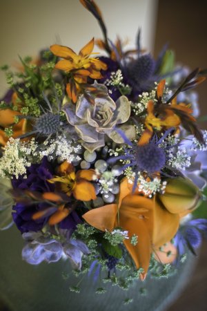 Fall succulents 7-14-2015_download_1890.jpg