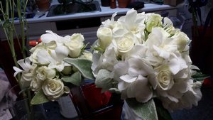 Antique whites brandon_golf_069.jpg