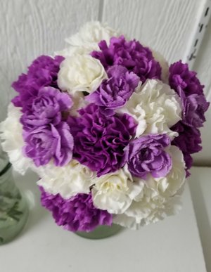 fabulous carnations fabulous_carnations.jpg