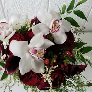 orchid heaven orchid_heaven.jpg