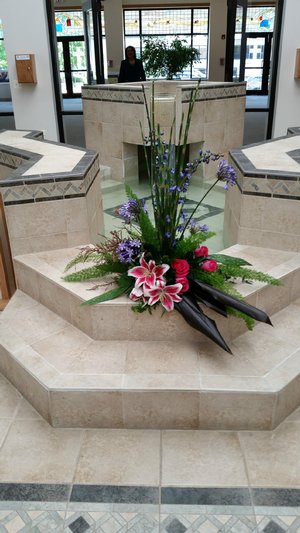 Dramatic entrance! 20160709_143859.jpg