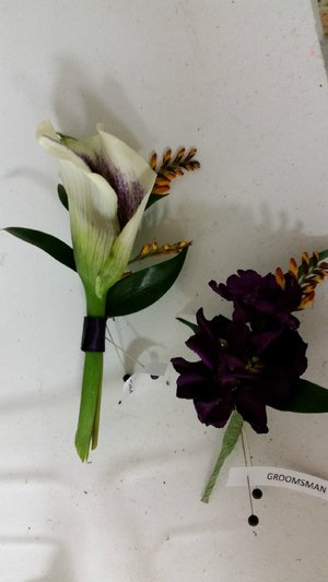 Callas and Cosmos! 20160923_192034.jpg