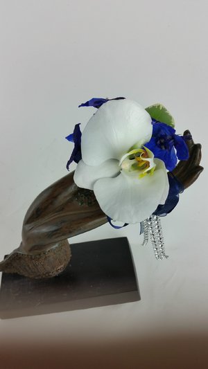 Phaleonopsis Orchid! 20170427_183111.jpg