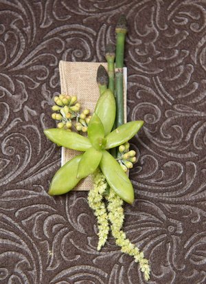 Succulents! bridal_show_7.jpg