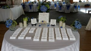 Garden Hydrangeas 20160507_144234.jpg