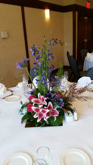 Stargazers! 20160709_164125.jpg