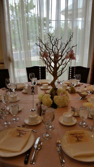 Orchid Tree! 20170513_104341.jpg