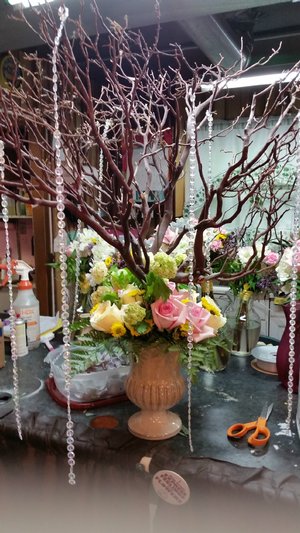 The entry way WOW! 20170610_085504.jpg