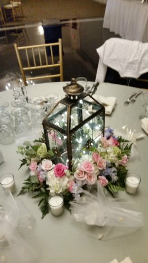 Fairy lighted Lantern! 20170610_163554.jpg