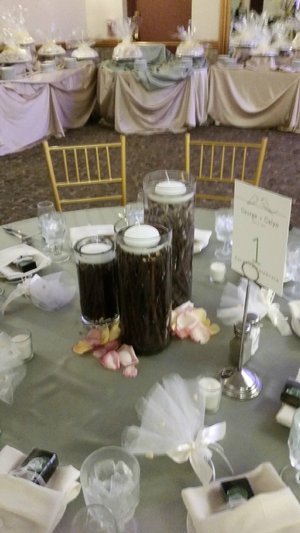 Submerged Twigs! 20170610_165358.jpg