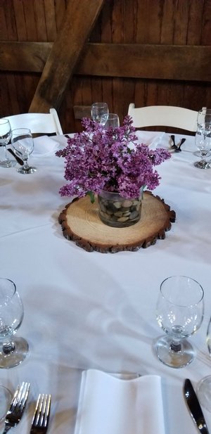 Spring lilacs Spring_Lilacs.jpg